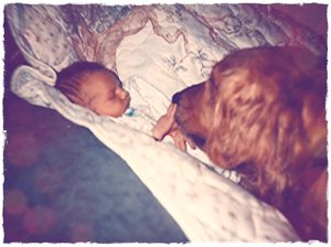 Pet sitting black cat Patrick