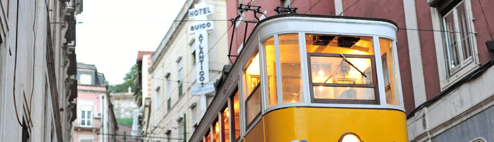 A Leash Above :: Blog – Pet Sitting in the Woodlands Texas