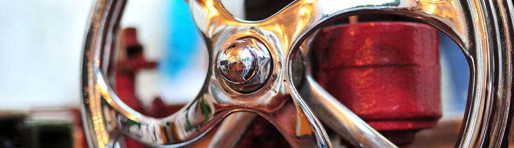 A Leash Above :: Blog – Pet Sitting in the Woodlands Texas